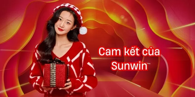 Cam kết của Sunwin về bảo vệ quyền riêng tư của người chơi